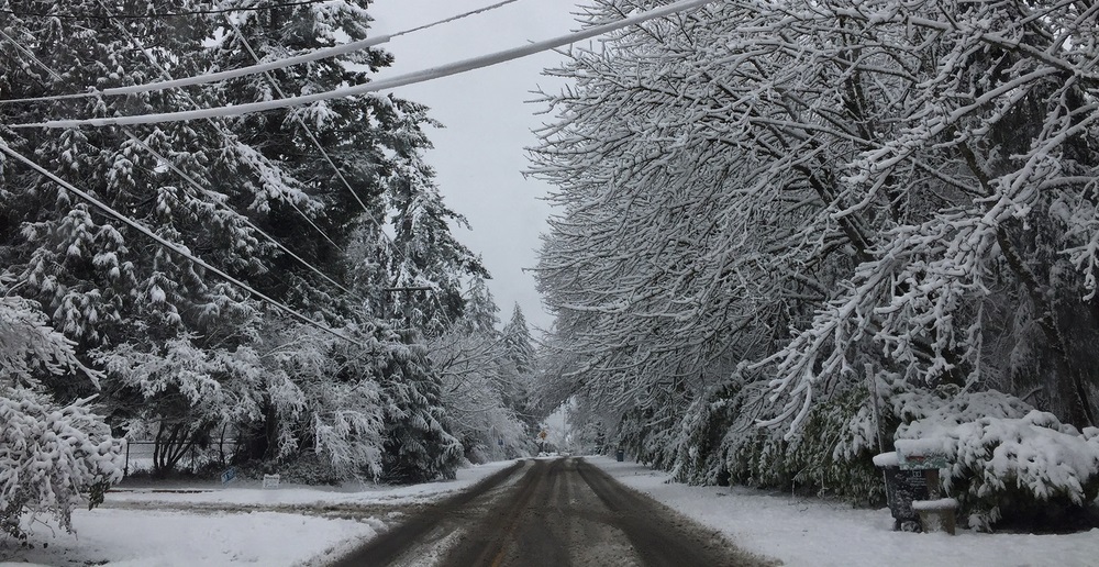 Fletcher Bay Rd NE on Bainbridge is covered with snow after a storm in February 2017